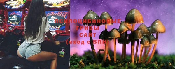гашишное масло Лабытнанги
