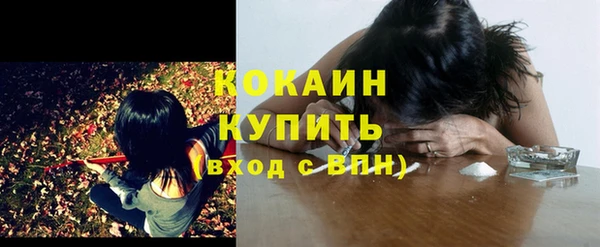 прущий лед Бутурлиновка